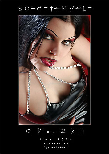 a view to kill