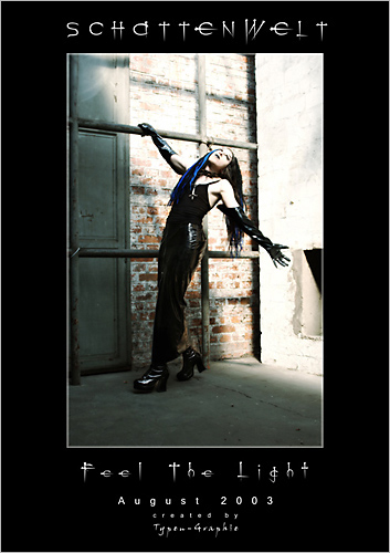 feel the light