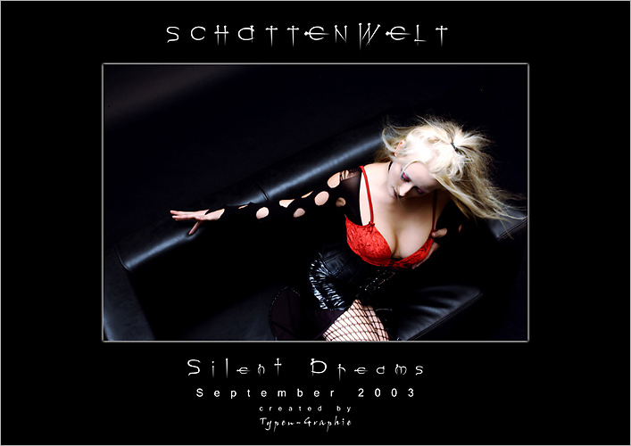 silent dream