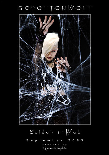spidersweb