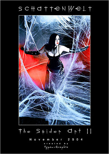 the spider art2