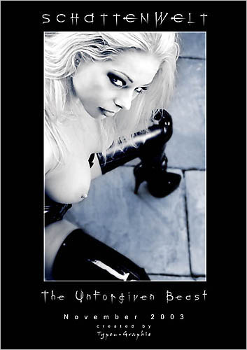 the unforgiven beast